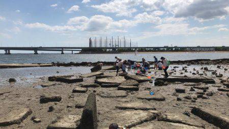 甲子園浜　デイゲーム　シーバス×チヌ